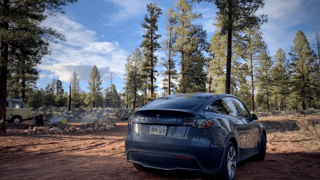 Camping in a Tesla Model Y on a forest service road